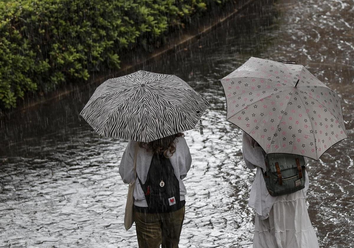 Qué hacer en Alicante cuando llueve: planes alternativos y cubiertos
